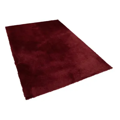 Shaggy Area Rug x cm Red EVREN