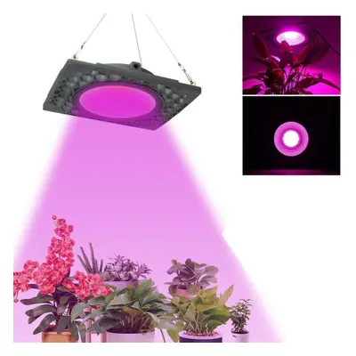 (220V) 1000W Full Spectrum LED Grow Veg Seed Light for Greenhouse Plant