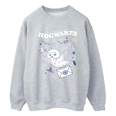 (5XL, Sports Grey) Harry Potter Mens Owl Letter From Hogwarts Sweatshirt