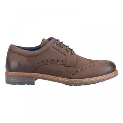 (7 (Adults')) Jayden Brogue | Brown | Men's Smart Brogue Shoes