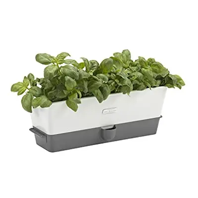 Cole & Mason Burwell Self-Watering Potted Herb Saver, Windowsill Herb Planter Indoor/Herb Box/In