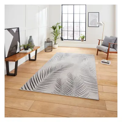 (Grey / Silver) Think Rugs Creation Fern Leaf High Density Pile Rug