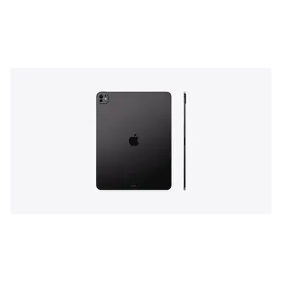 IPAD PRO M4 WIFI 256GB SP BLK