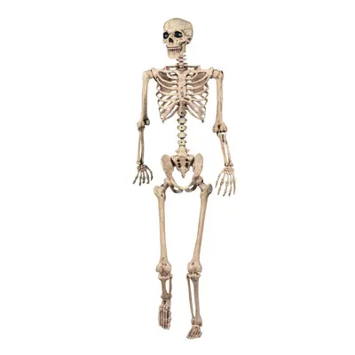 165cm Halloween Skeleton Poseable Life Size Party Decoration