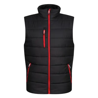 (S, Black/Classic Red) Regatta Mens Navigate Thermal Body Warmer