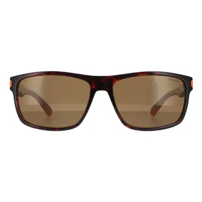 Polaroid Sunglasses PLD 2121/S L9G SP Havana Orange Bronze Polarized