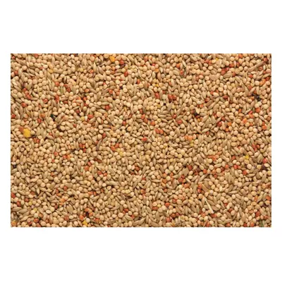 SkyGold Quality Budgie Cage & Aviary Seed Mix 20Kg