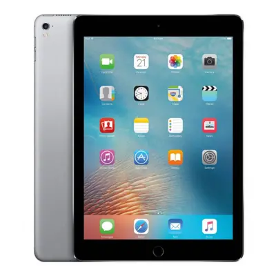 iPad Pro 9.7 256GB Wi-Fi + 4G Spacegrey (2016) (Unlocked)