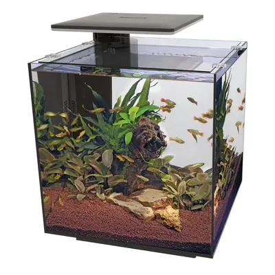 (Black) Superfish Qubiq Aquarium Nano Fish Tank Integrated Filter, Optional LED Light