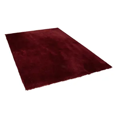 Shaggy Area Rug x cm Red EVREN