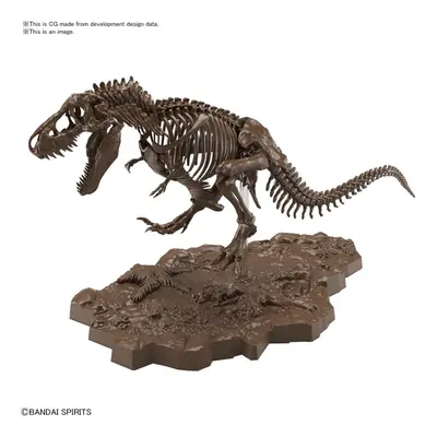 1/32 scale Tyrannosaurus Rex Skeleton model kit by Banadai