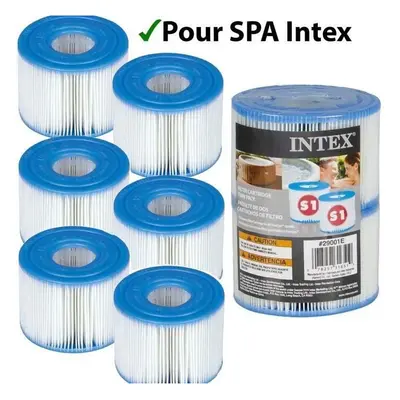 Filtration cartridges for PureSpa and INTEX S1 - Pack of