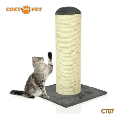 Cat Scratching Post By Cozy Pet Cat Tree Sisal Kitten Cat Trees CT07-Dark Grey