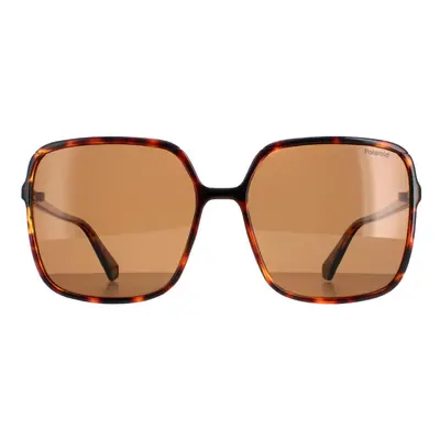 Polaroid Sunglasses PLD 6128/S 9N4 SP Havana Brown Polarized