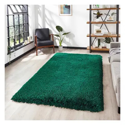 (Emerald Green, x cm) 8cm Thick Fluffy Shaggy Rug Small Large Mat Shag Pile Super Soft Warm Carp