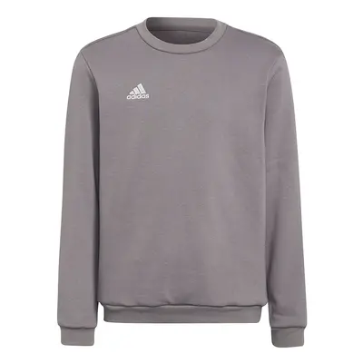 adidas Entrada Sweat Top grey H57477 140cm