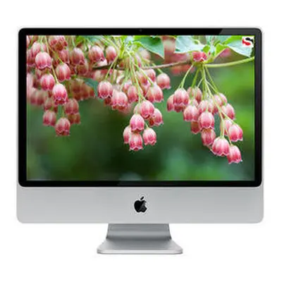 Apple iMac 21.5" Core i3 3.2GHz 4GB RAM 1TB SSD - MC509LLA