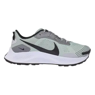 (11) Nike Pegasus Trail Dusty Sage/Black-Smoke Grey DV3035-001 Men's