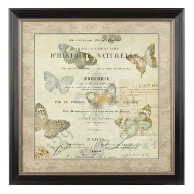 Premier Housewares Framed Butterfly Wall Art