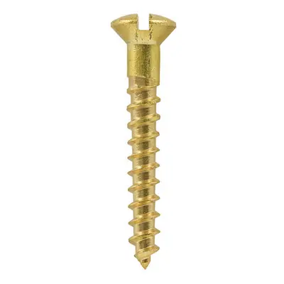 TIMCO Solid Brass Round Head Woodscrews - x