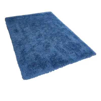 Shaggy Area Rug x cm Blue CIDE