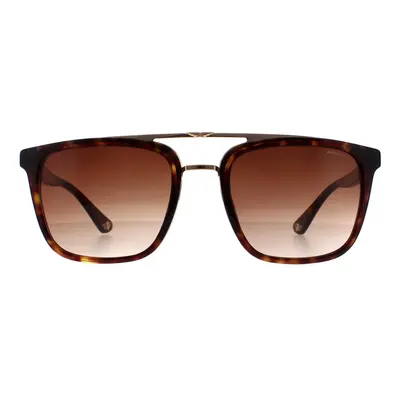 Police Sunglasses SPLB41 Origins 0722 Havana and Gold Brown Gradient