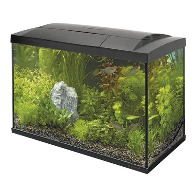 (70 Black) Superfish Start Tropical Aquarium Kit 50 100 Black White LED Fish Tank