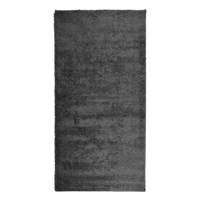 (anthracite, x cm) vidaXL Shaggy Rug Floor Mat Fluffy Rug Area Rug PAMPLONA High Pile Modern