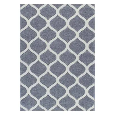 (13. 1 Trellis - Grey, x cm) Modern Geometric Floral Abstract Area Rugs Check Multi Coloured Non