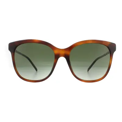 Gucci Sunglasses GG0654S Havana Green Gradient