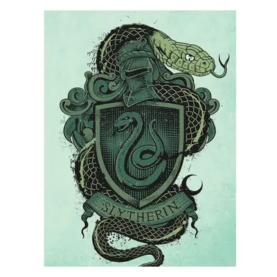 Harry Potter Slytherin Canvas Print