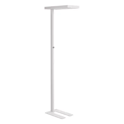 LED Floor Lamp TAURUS With Dimmer Metal White