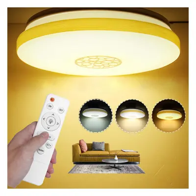 48W LED Ceiling Light Remote Control for Living Room Bedroom Kitchen AC180-260V Modes