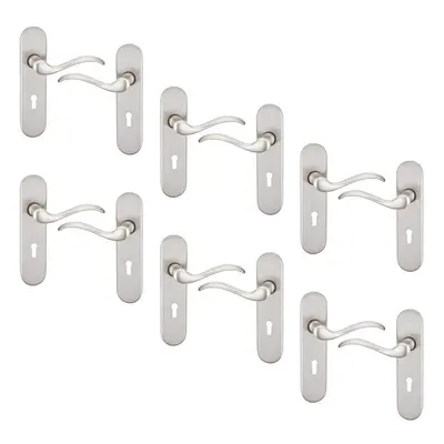 (Satin Nickel Keyhole Set of 6) 6/4 Pcs Geneva Scroll Metal Door Lever Handles Set, Fire, Stain 