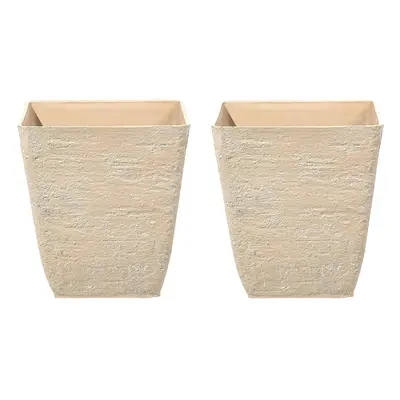 Set of Plant Pots x x cm Beige DELOS