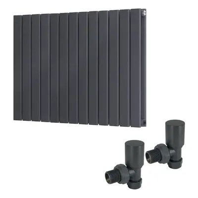 (600 x 886mm Double) Warmehaus Flat Panel Horizontal Vertical Radiator with Angled Valves