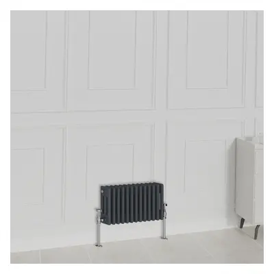 (300x605mm-3 Column, Anthracite) NRG Traditional Radiator Horizontal Vertical Cast Iron Style Do