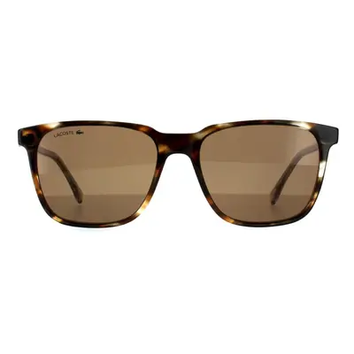 Lacoste Sunglasses L910S Havana Brown