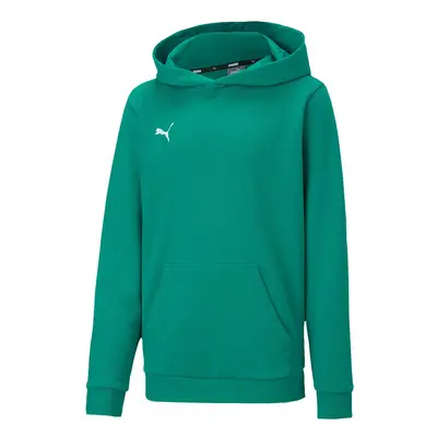 Puma teamGOAL Casuals Hoody Jr Sweatshirt green 05