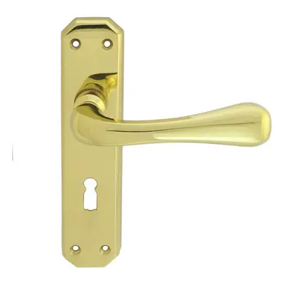 PAIR Heavy Duty Handle on Angular Lock Backplate x 40mm Polished Brass