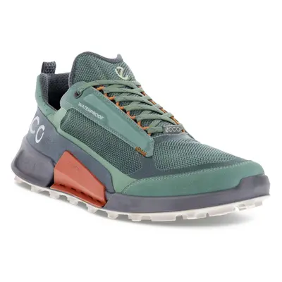 (9-9.5 (43EU), Frosty Green) ECCO Mens Biom 2.1 X Mountain Outdoor Walking Hiking Trainers Sneak