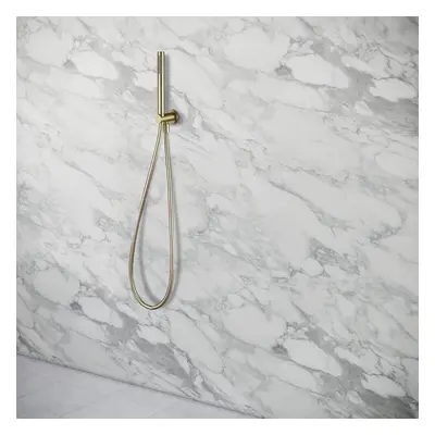 Wall Mounted Modern Brushed Gold Brass Shower Handset with Holder Hose