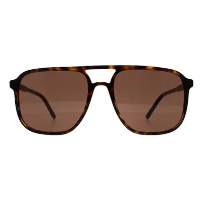 Dolce & Gabbana Sunglasses DG4423 502/73 Havana Dark Brown