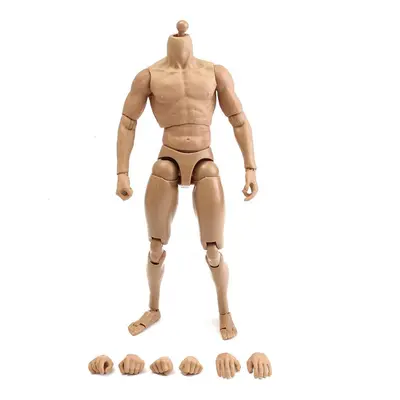 1/6 Scale Action Figure Male Nude Muscular Body 12" Plastic Toy for TTM18/19