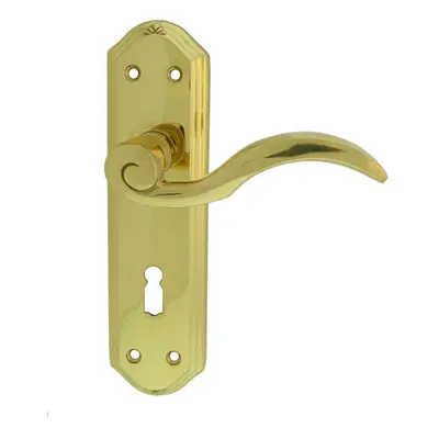 PAIR Spiral Sculpted Handle on Lock Backplate x 48mm Polished Brass