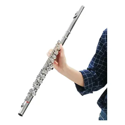 16 Holes C Key Colored Flute Nickel Plated Silver Tube Woodwind Instrument with Box