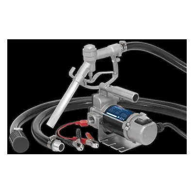 Diesel/Fluid Transfer Pump Portable 24V