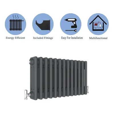 (Anthracite , 300*1010mm) Cast Iron Style Radiators