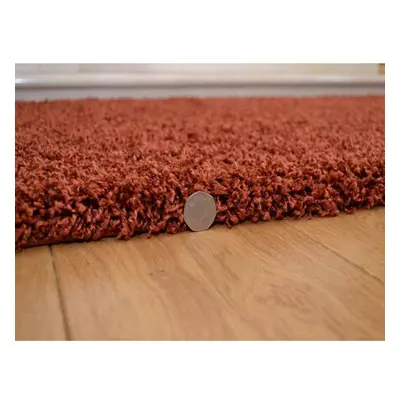 (120cm x 170cm) Abaseen Shaggy Rust Thick Luxurious Soft Rug