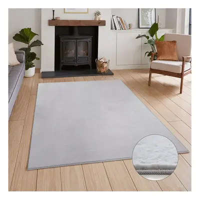 (120 cm x cm (4ft x 5ft 8")- Area Rugs For Living Room Bedroom, Silver) Modern Fluffy Rugs Livin